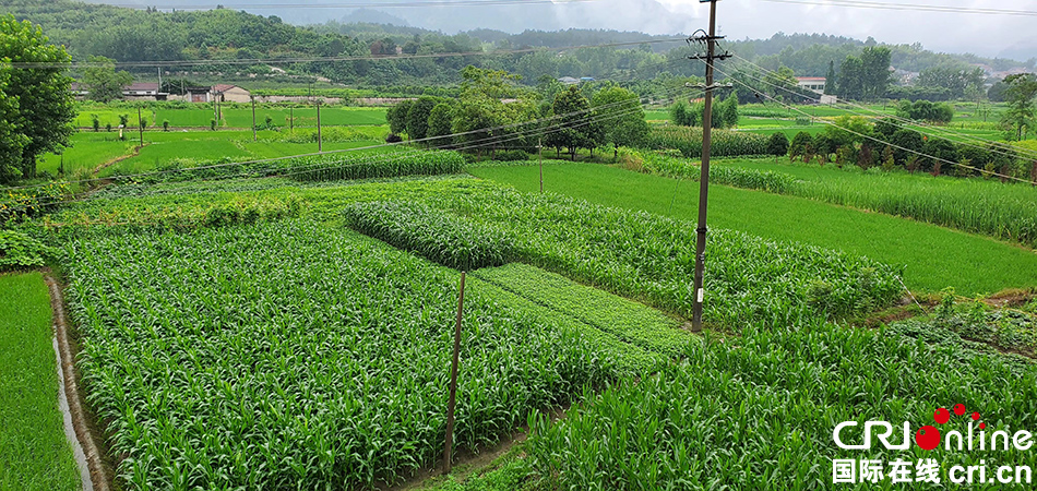 新中国印象——我的家乡