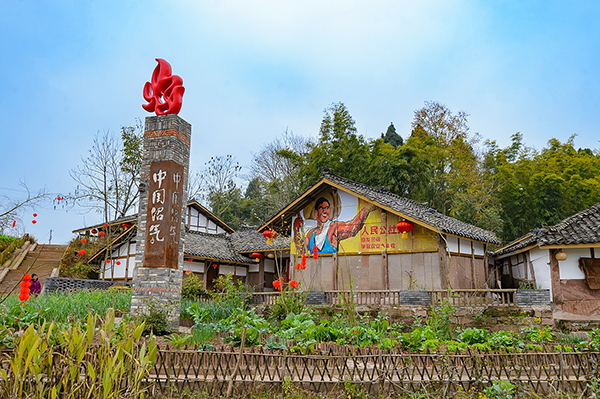 新春走基层遂宁市安居区沼气能源再利用海龙村乡村振兴大有可为