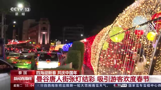 多国举办春节活动 感受中国文化