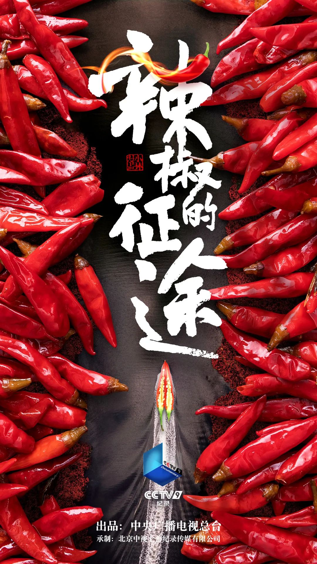 大片陪您过大年!总台多部纪录片佳作新春热播(图8)