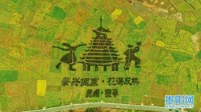 （中首）贵州黎平：油菜花开乡村美
