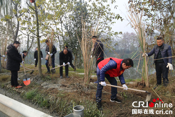 图片默认标题_fororder_党员植物芦苇（摄影-王可欣）1