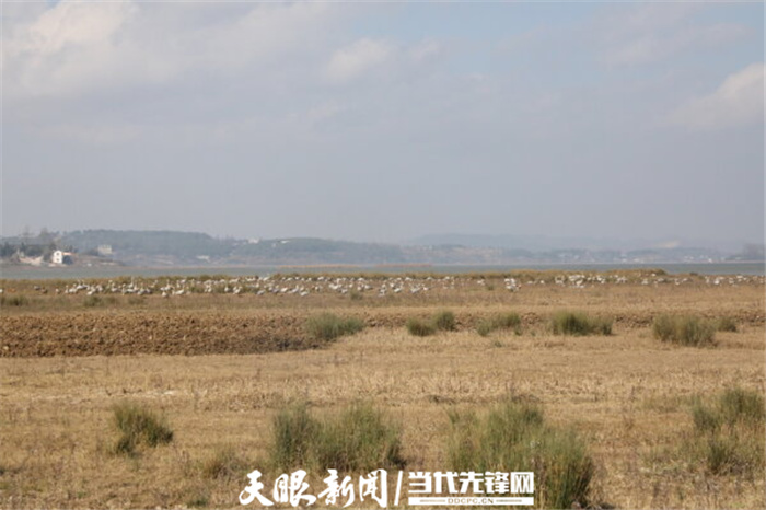 (中首)毕节威宁草海生态治理成效显著