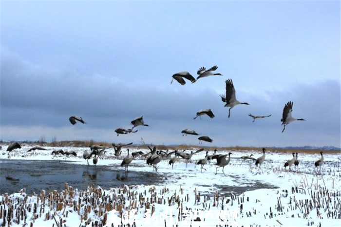 (中首)毕节威宁草海生态治理成效显著