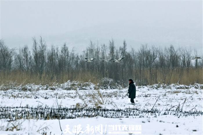 (中首)毕节威宁草海生态治理成效显著