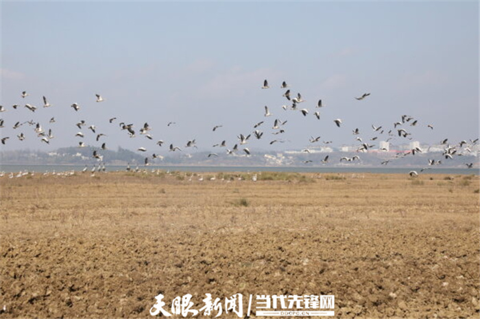 (中首)毕节威宁草海生态治理成效显著