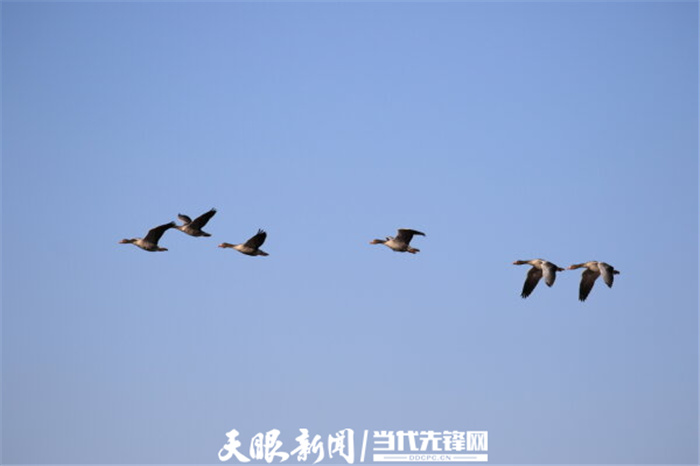 (中首)毕节威宁草海生态治理成效显著