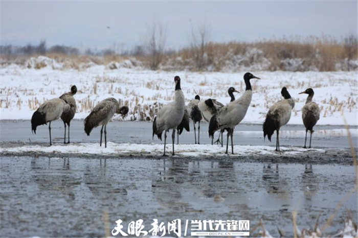 (中首)毕节威宁草海生态治理成效显著