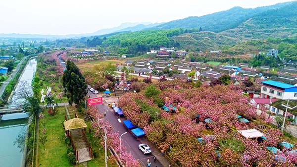 新春走基层德阳什邡乡村振兴正当时