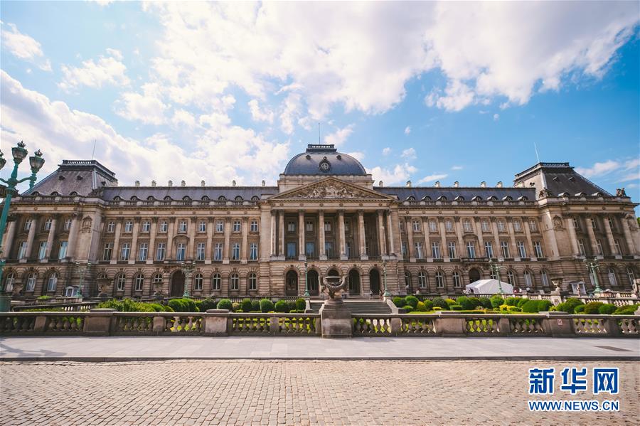比利时王宫迎来暑期开放季(组图)