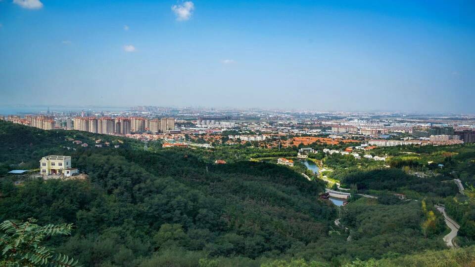 盘点山东“虎”字号景点,新年开启“虎气满满”的旅程