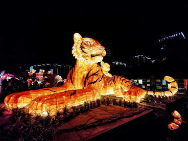 Online and Offline Boost in the Year of the Tiger, Splendid “Cultural and Tourism Feast” Adds to the New Year's Atmosphere