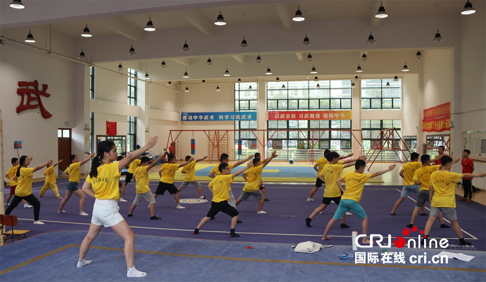 新中国印象——以武会友