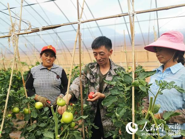 5萬到2000萬，云南這個山區(qū)合作社7年銷售額增長400倍