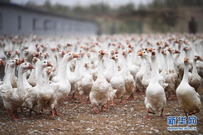 图片默认标题_fororder_0702图1