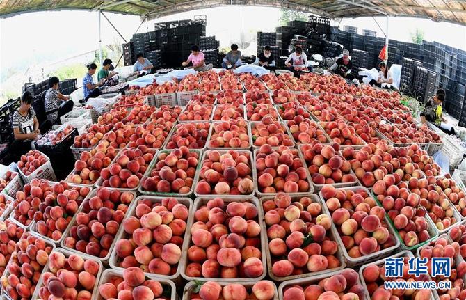 图片默认标题_fororder_1210222767_15645402763891n