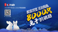 脱贫攻坚 法治报道：：8000只兔子的销路_fororder_微信图片_20200702145749