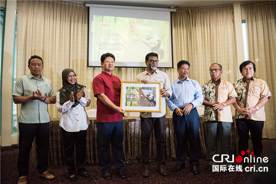 在马来西亚出生的第二只熊猫宝宝获名“谊谊”