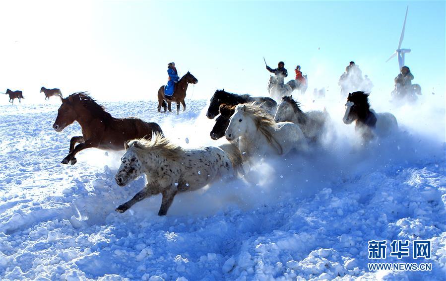 策马扬鞭踏雪飞(组图)