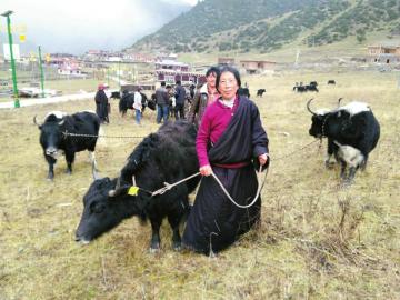 图片默认标题_fororder_5