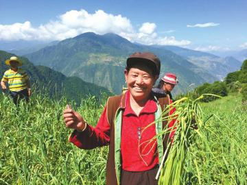 图片默认标题_fororder_8