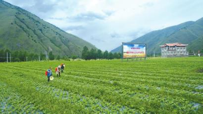 图片默认标题_fororder_6