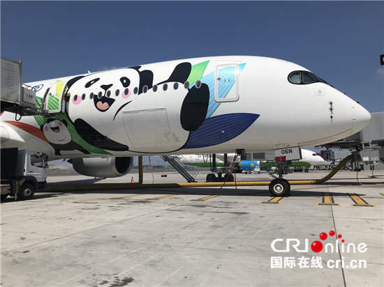 “熊猫”A350首飞伊斯坦布尔
