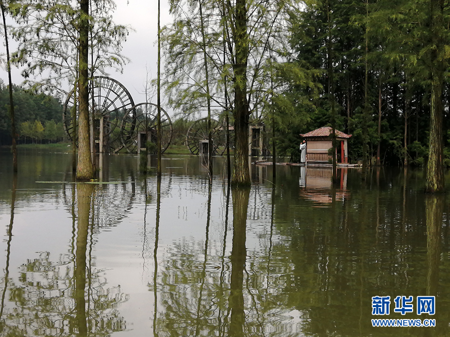 湖北仙桃市开启今夏休闲养生旅游的大幕