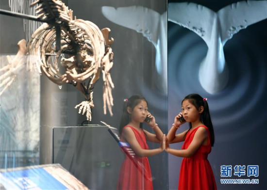 图片默认标题_fororder_J4-3