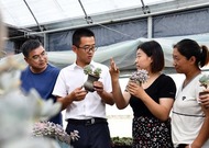 为了让村民都搭上“致富小火车”