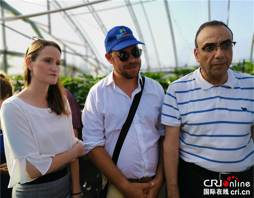 以色列总理府新闻办公室主任赫恩:将“杨凌”带回以色列 推动中以交流合作 以色列总理府新闻办公室主任赫恩:将“杨凌”带回以色列 推动中以交流合作