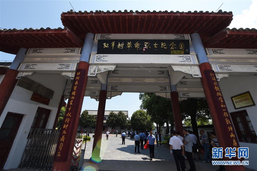 “红军树”下忆初心、守初心