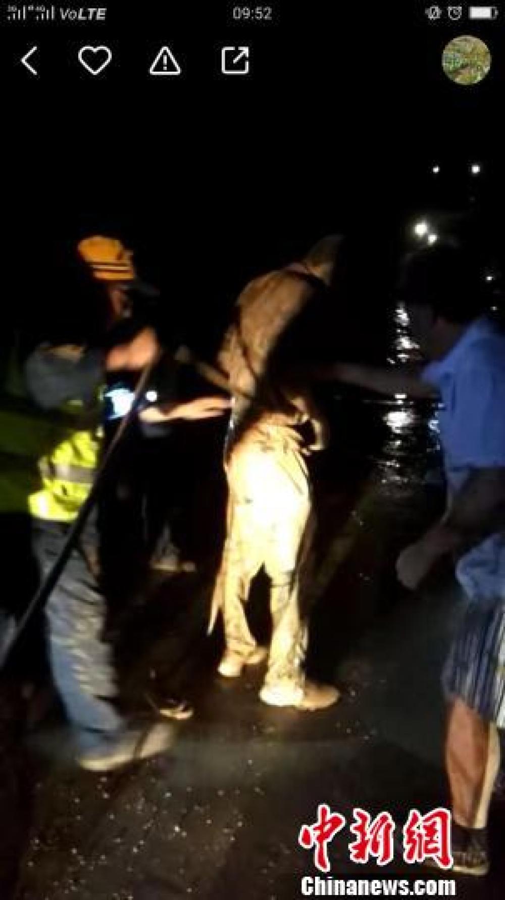 暴风雨夜轿车坠河:11名90后铁路青年勇救落水者