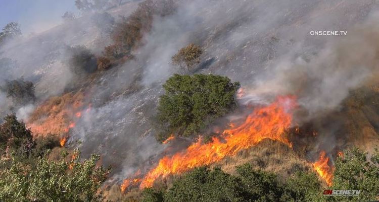 受高温天气影响 美国加州山火频发