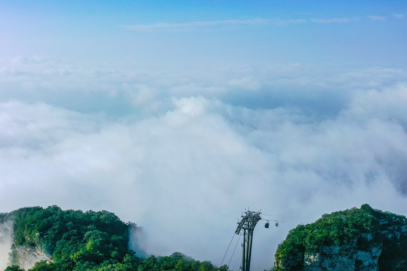 【城市远洋】雨后初晴 云台山壮美云海惊艳游客