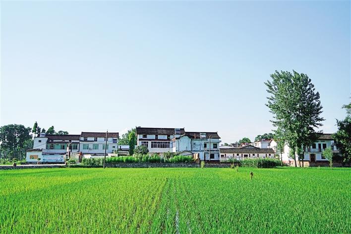 “美丽乡村·文明家园”建设在陕西 智果村里“种”文化