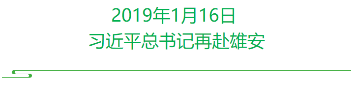 春润雄安 | 看未来之城正“生长”