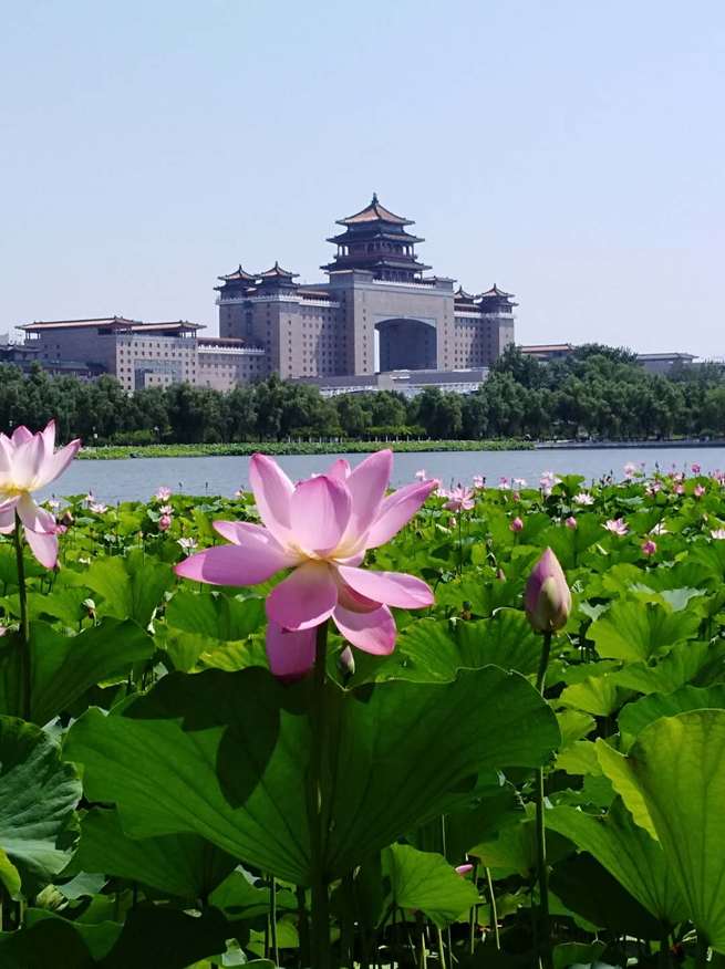 图片默认标题_fororder_微信图片_20200707175843