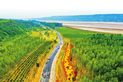 【头条】河南省沿黄林业生态建设再加速