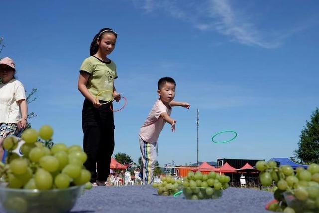 2019东洲葡萄旅游文化节 让游客感受“互联网+采摘”文化魅力 2019东洲葡萄旅游文化节 让游客感受“互联网+采摘”文化魅力