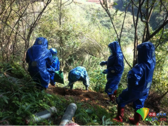 【网络精准扶贫 新时代青年行】搭上脱贫数字快车，返乡创业青年实现了弯道超车