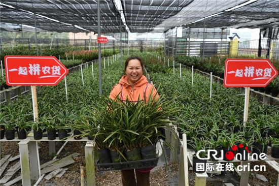 拼多多的“花花世界”:“农地云拼”助花农增收,让购花更实惠_fororder_1