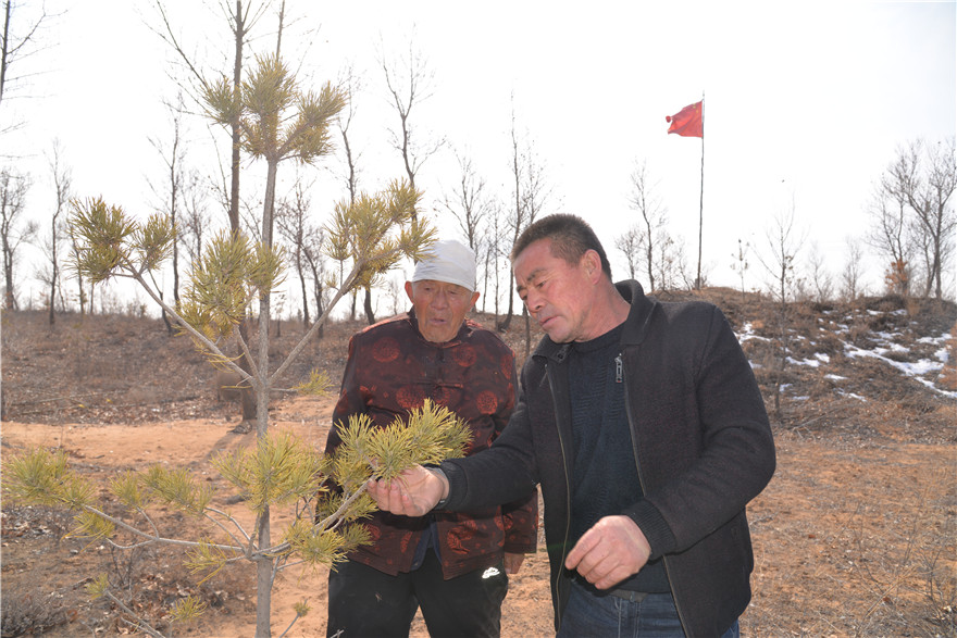 陕西靖边:巡林护绿不间断 植树造林代代传_fororder_祖孙二人每天都要到林子里转一转看一看 白凌燕摄 (1).JPG