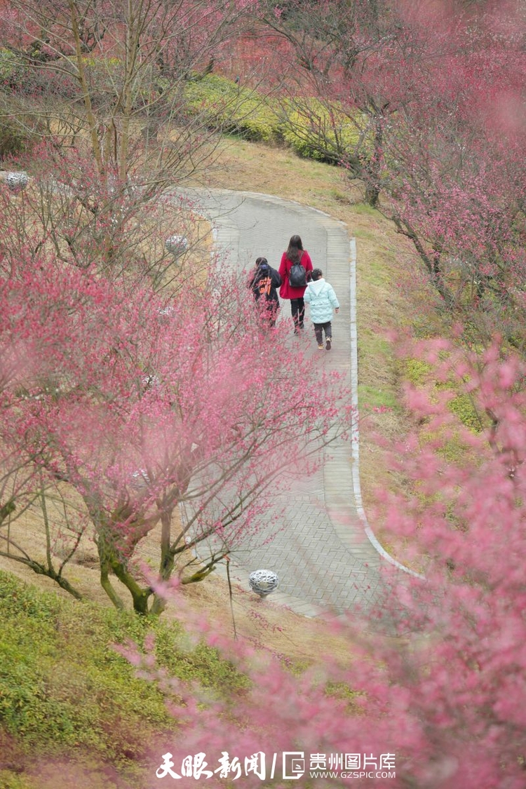 （中首）贵州：春天的色彩