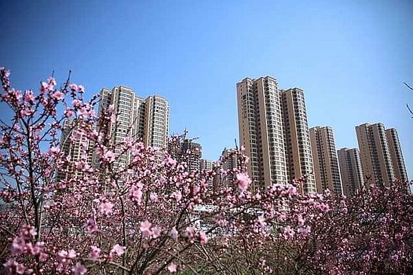 沣西新城四个项目荣获 2020年度陕西省建设工程 “ 长安杯 ” 奖