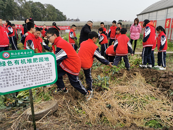 “虎”力全开 眉山各地学校开学_fororder_彭山区观音小学-供图-彭山区委宣传部