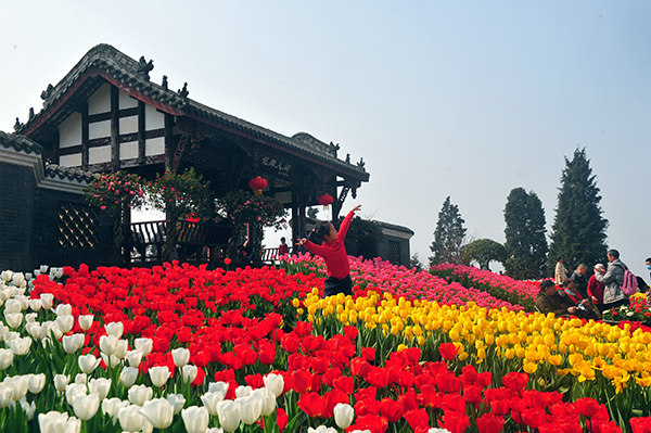 春季赏花季来临 成都市发布公园城市春花观赏指数_fororder_成都市春季花卉景观--供图--成都市公园城市建设管理局-(2)