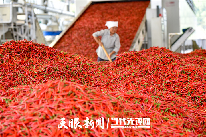 十大行动！看2022年贵州生态特色食品如何乘“风”破浪