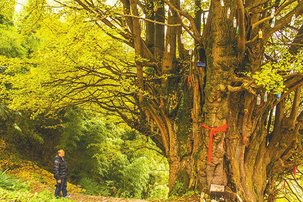 图片默认标题_fororder_2