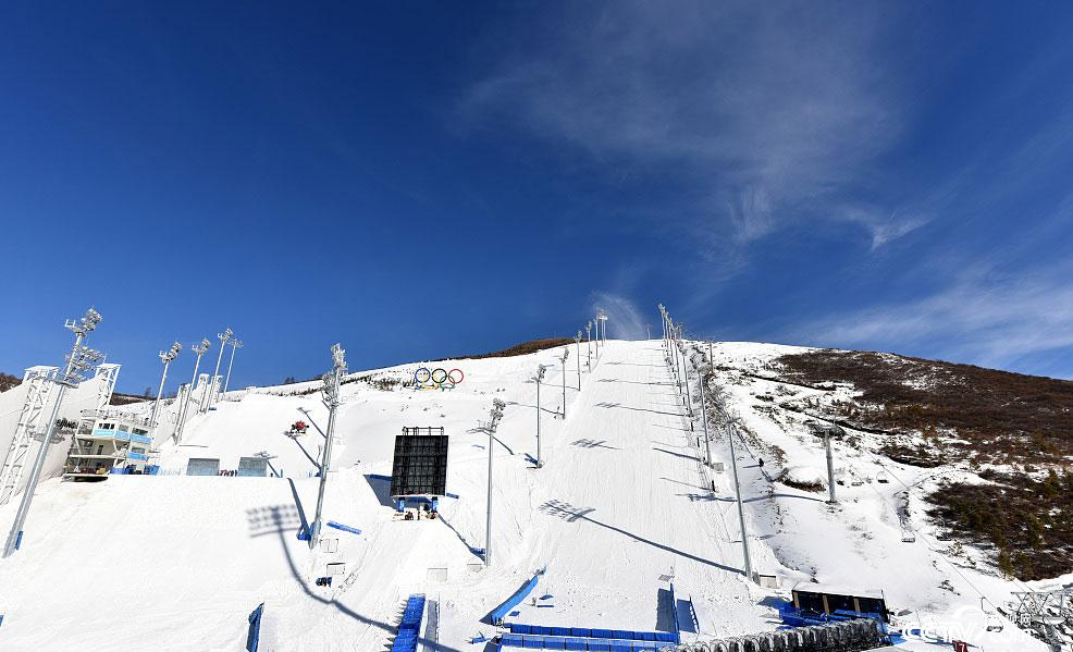 金牌都抱五块了,还分不清他们滑的啥?